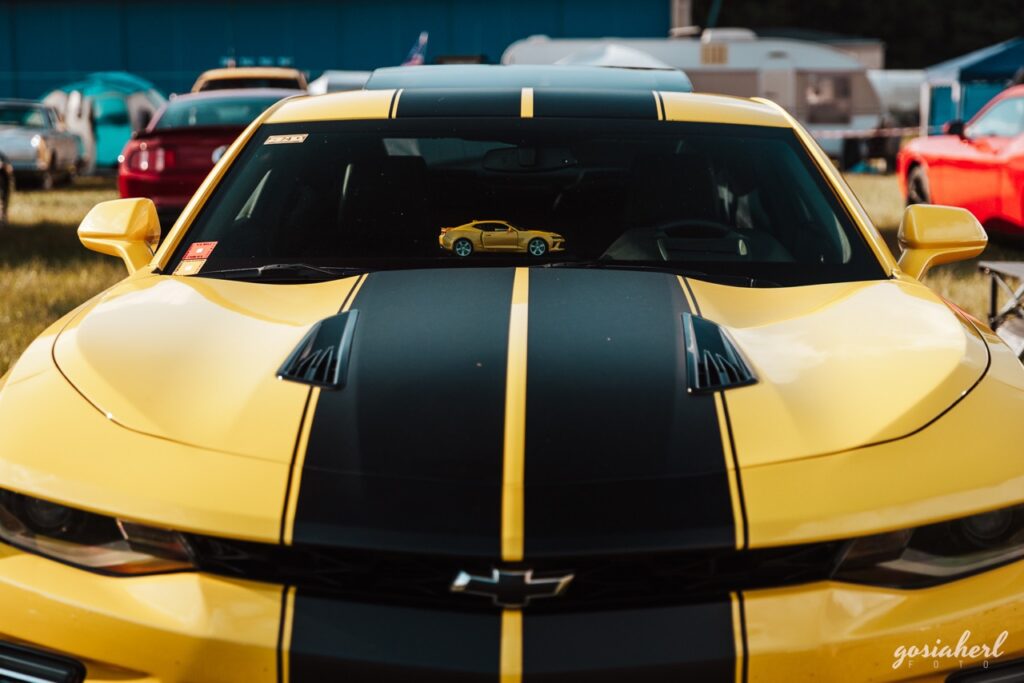 gosiaherlFOTO ACMpiatek 159 Duzy