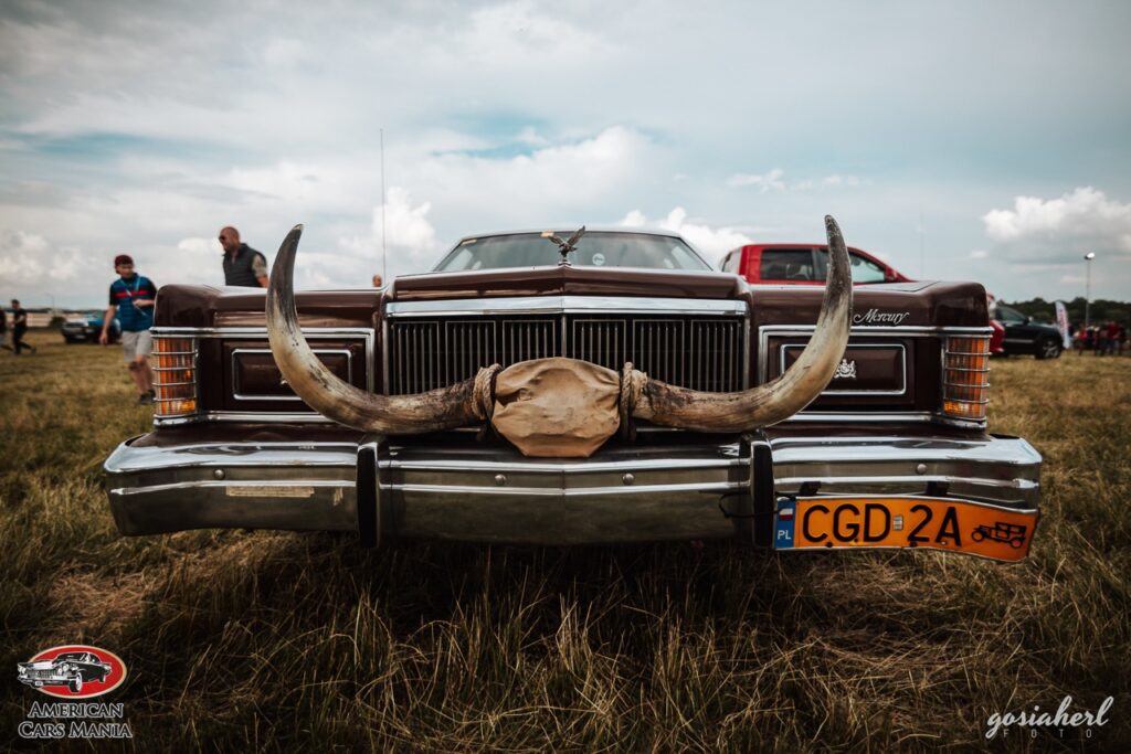 gosiaherlFOTO ACMsobota 186 Duzy